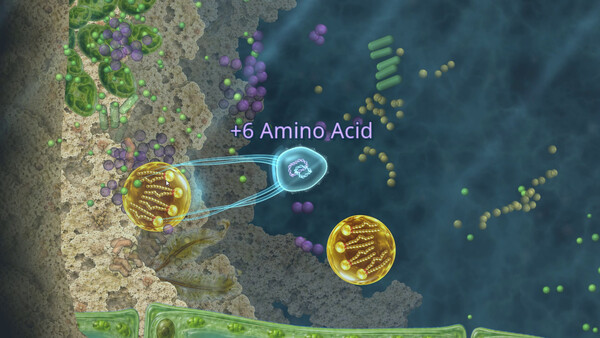 Salty: Evolution Simulator screenshot 4