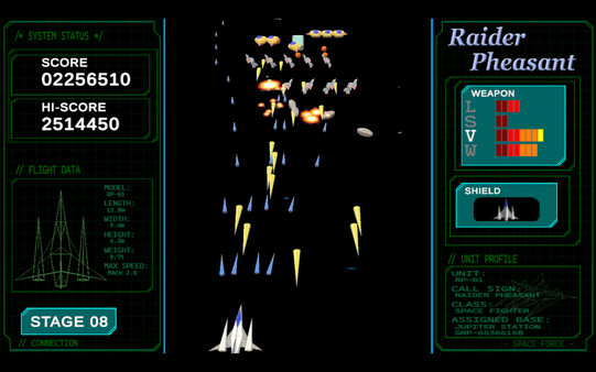 Raider Pheasant screenshot 7