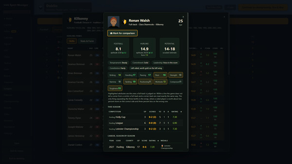 Irish Sport Manager screenshot 5