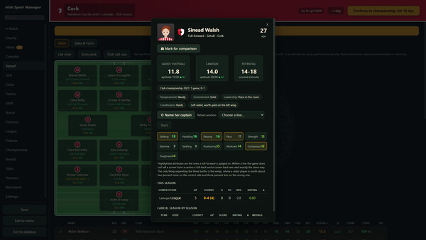 Irish Sport Manager screenshot 4