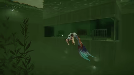 Mermade video 1