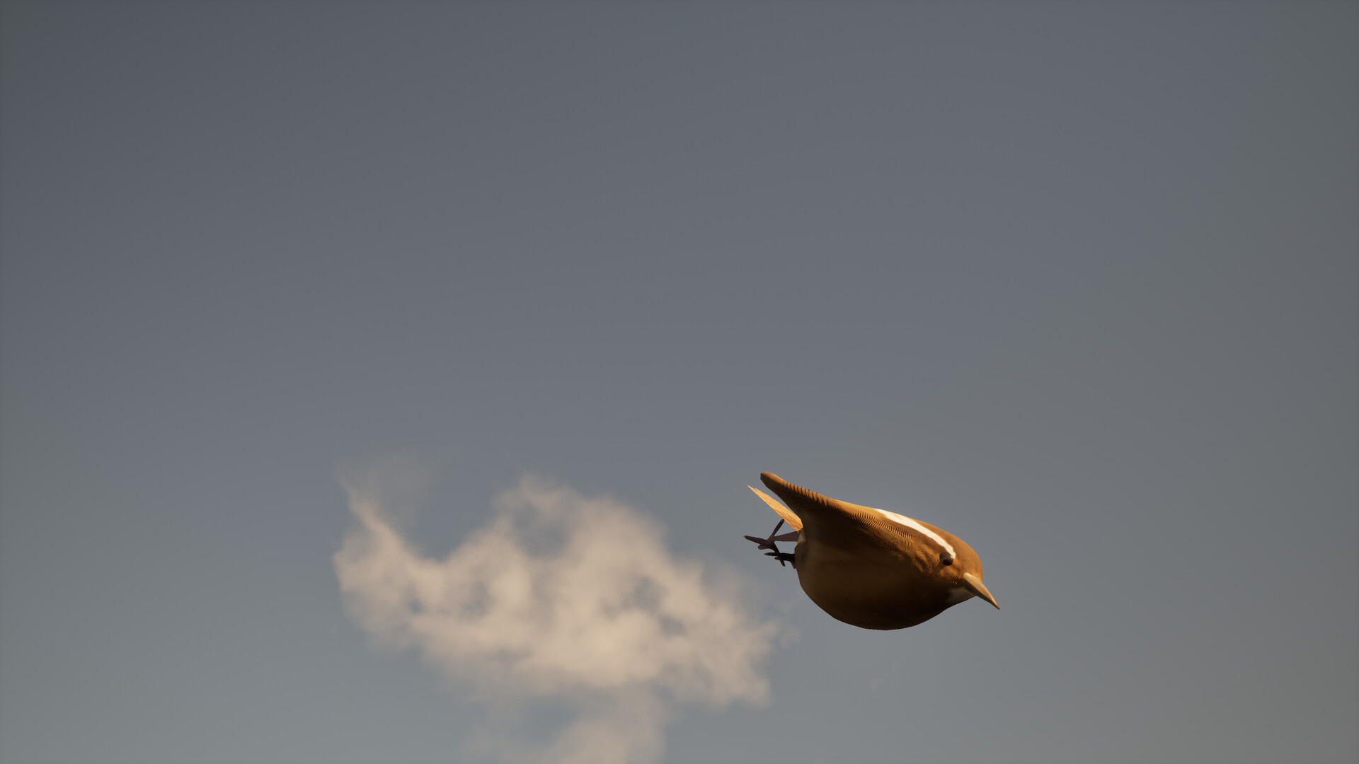 Pro Birder screenshot 3