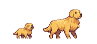 Dog screenshot 6