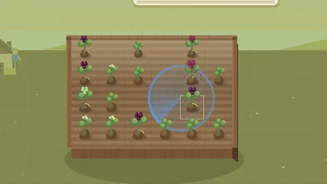 Grape by Grape video 4