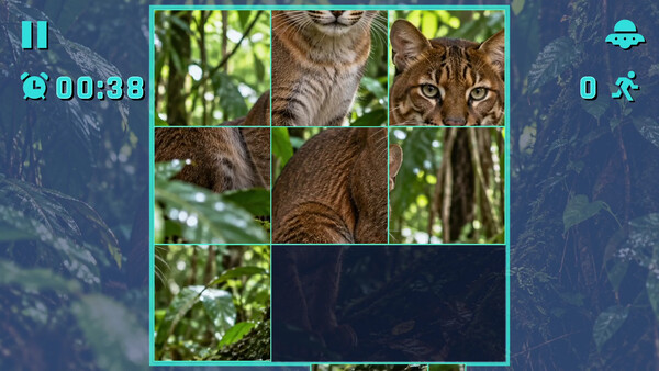 Puzzle Wild Cats screenshot 5