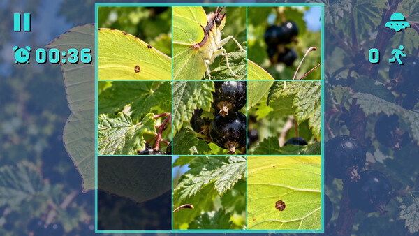 Puzzle Butterflies screenshot 5