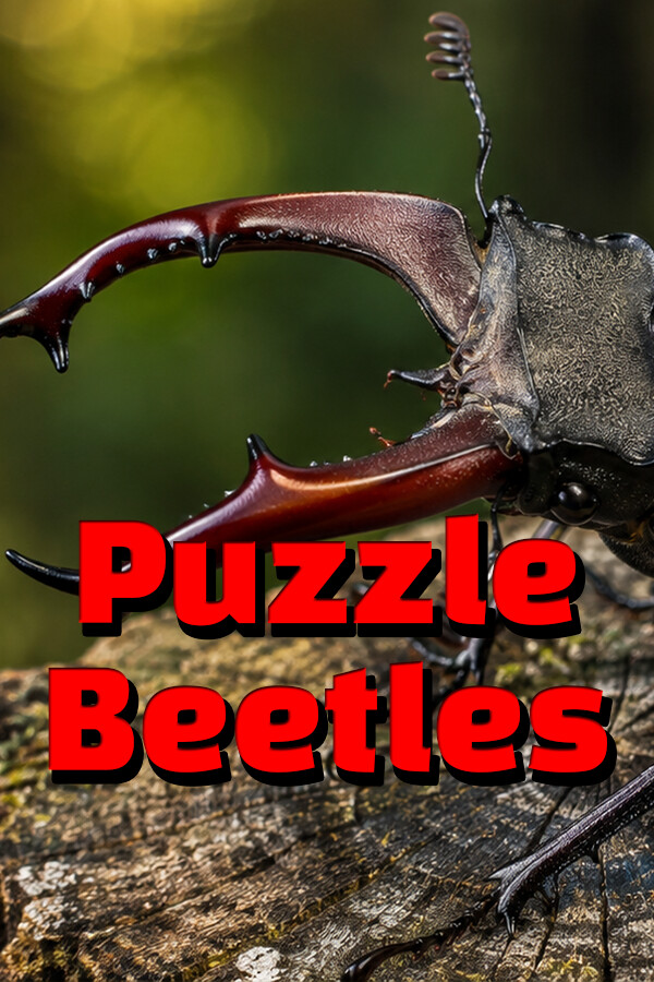 Puzzle Beetles