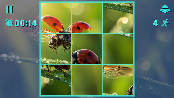 Puzzle Beetles screenshot 1