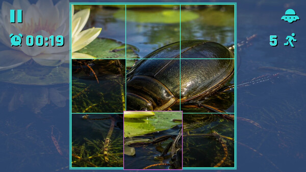 Puzzle Beetles screenshot 2