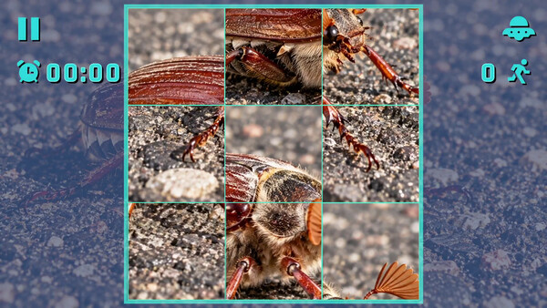 Puzzle Beetles screenshot 3