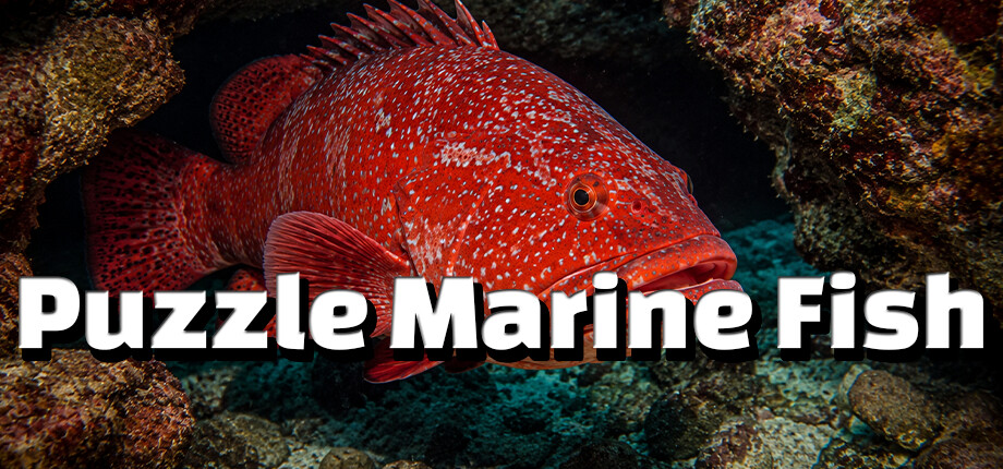 Puzzle Marine Fish header image