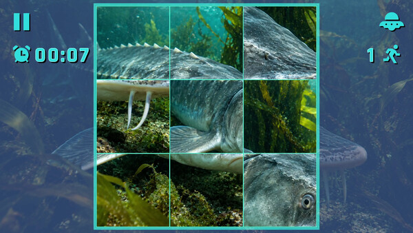 Puzzle Marine Fish screenshot 5