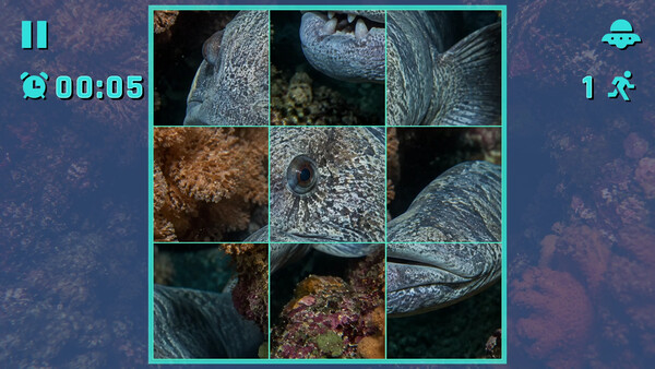 Puzzle Marine Fish screenshot 4