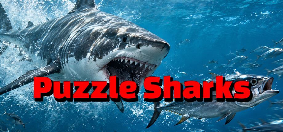 Puzzle Sharks header image