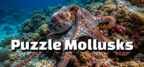 Puzzle Mollusks