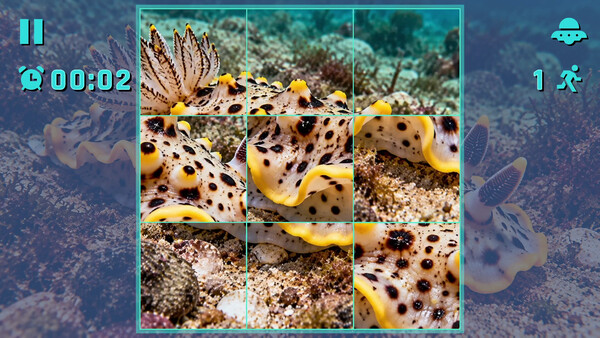 Puzzle Mollusks screenshot 4