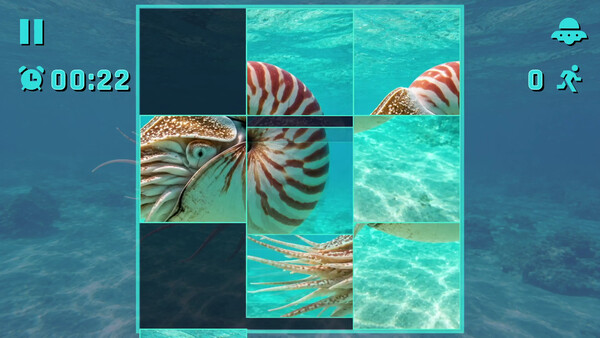 Puzzle Mollusks screenshot 1