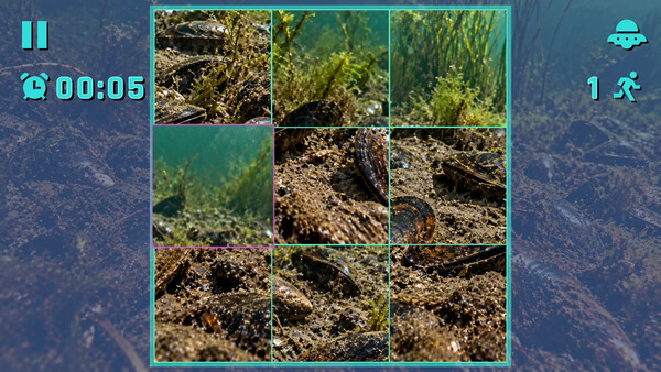 Puzzle Mollusks screenshot 5