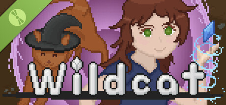 Wildcat Demo 표지