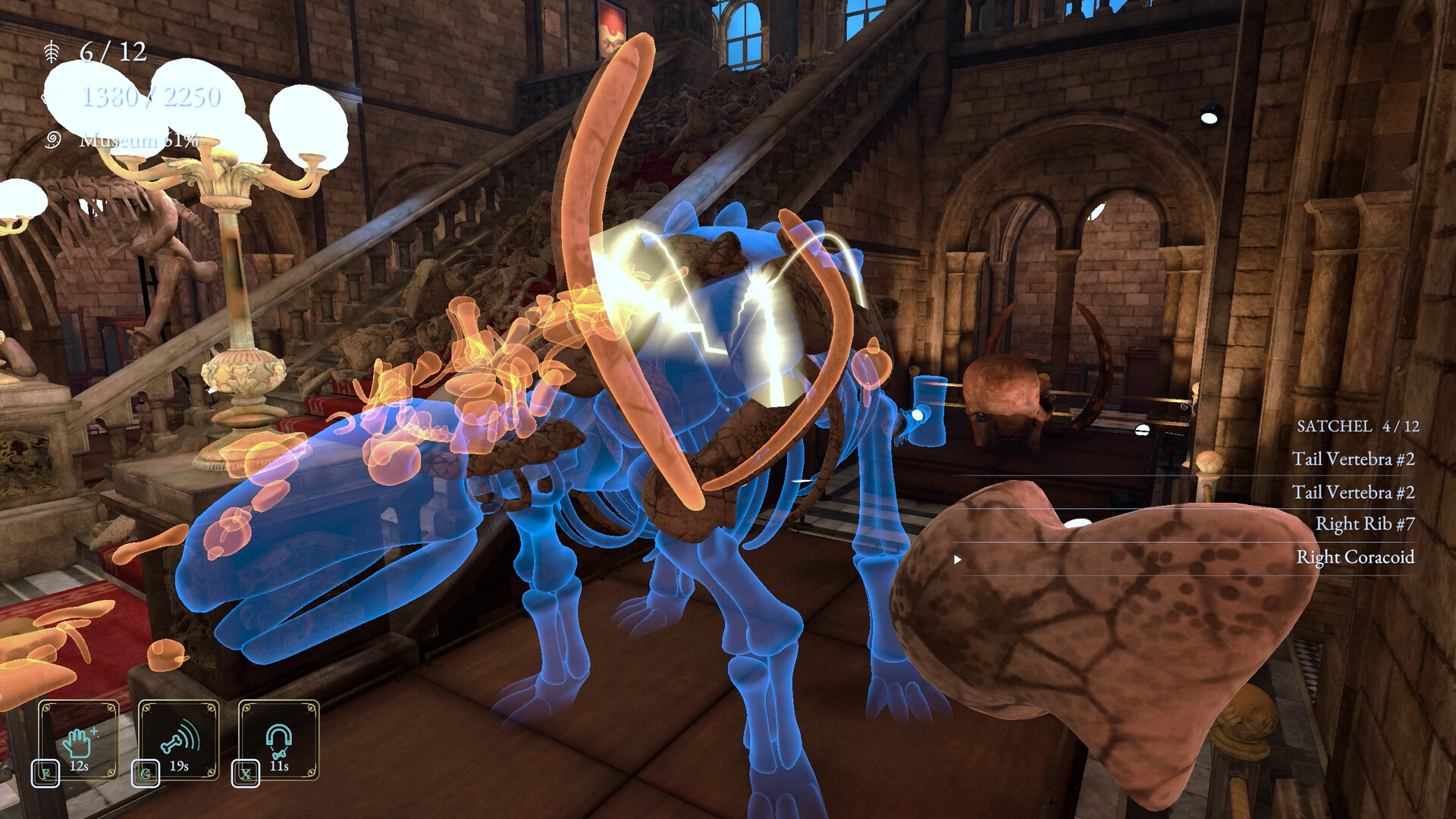DinoBones: Tidy Up the Museum screenshot 2