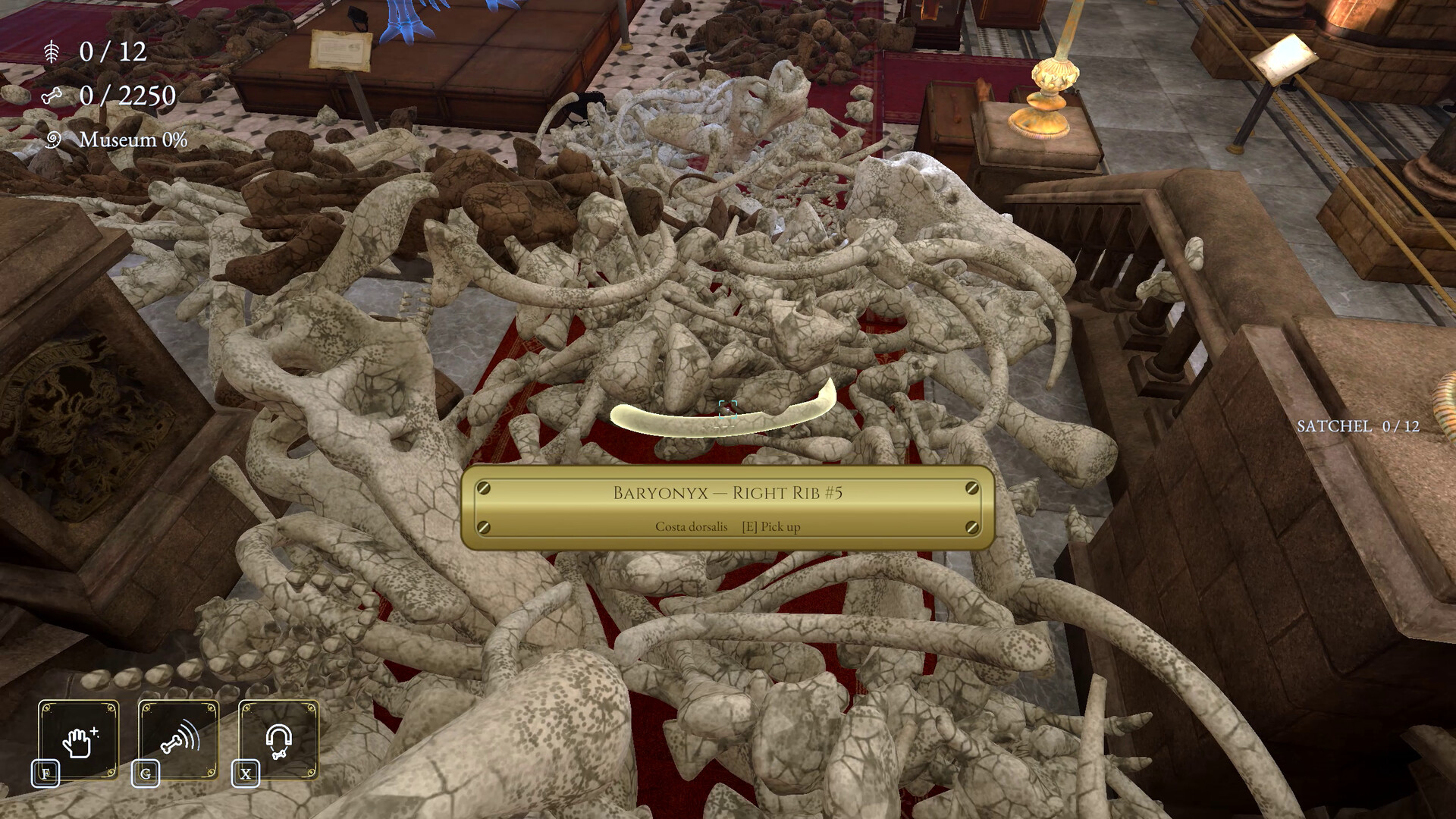 Screenshot 3 from DinoBones: Tidy Up the Museum