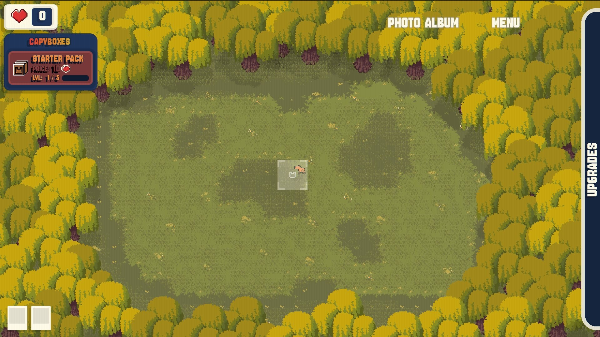 CapyCam screenshot