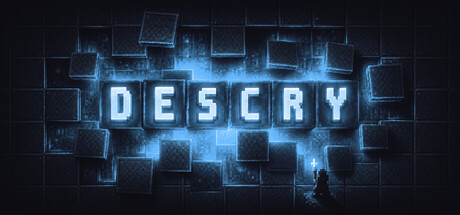 Descry 표지