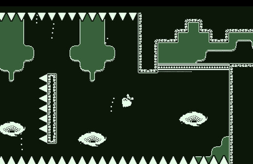 Tiny Turnip DX 스크린샷 4