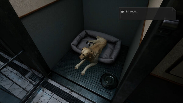 Midnight Pet Clinic screenshot 7