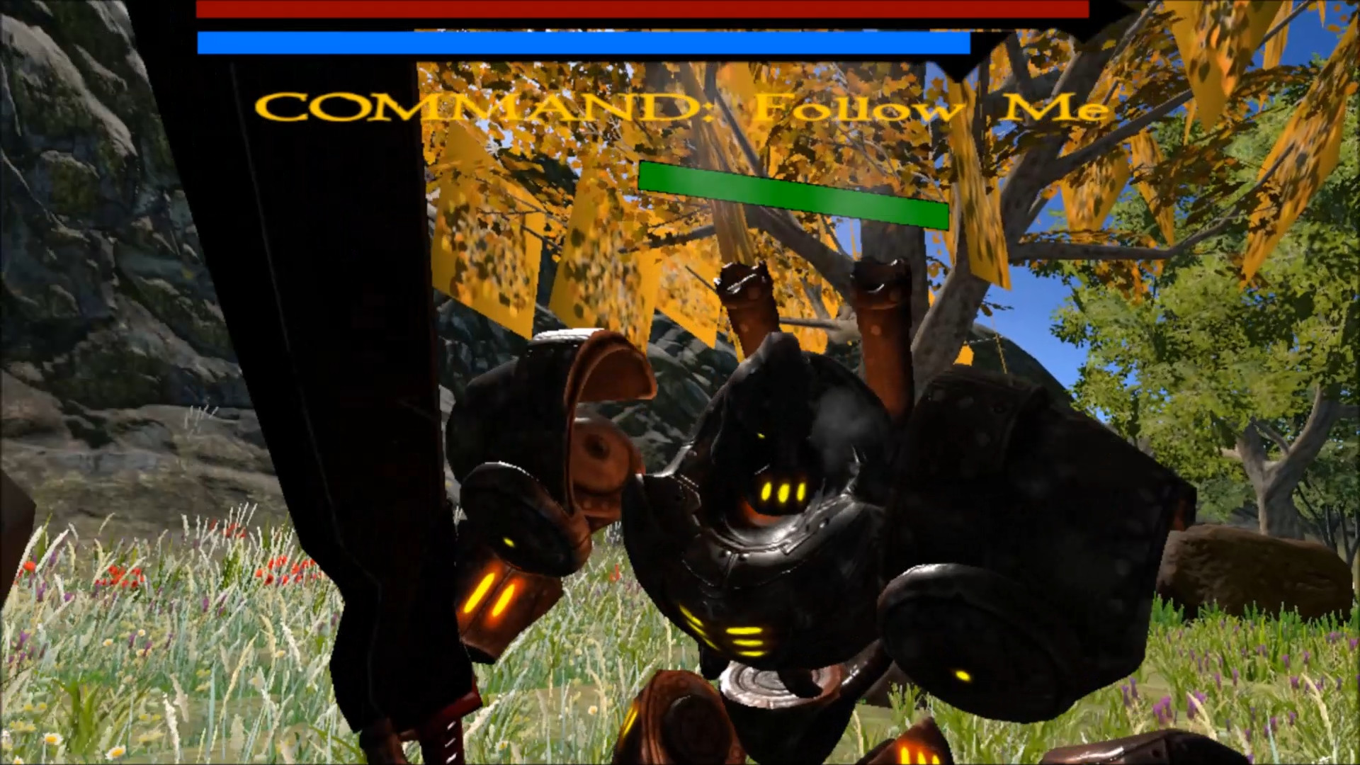 Draconic Order VR