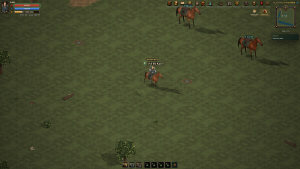 Arena Medieval screenshot 2
