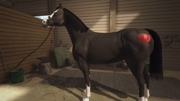 Screenshot z Riding Club Championships