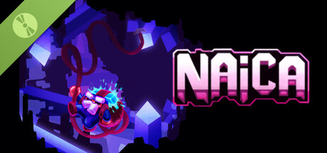 NAICA Demo header