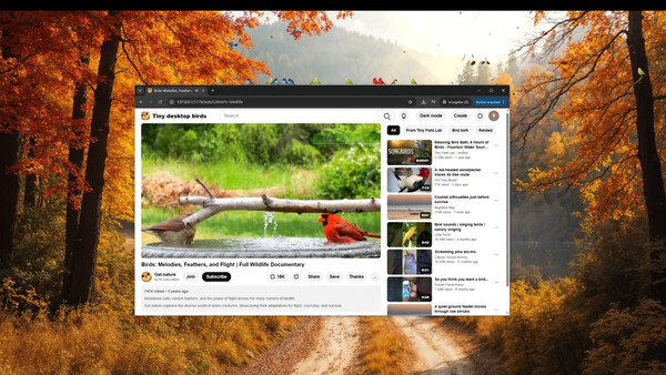 Tiny Desktop Birds Demo 스크린샷 4