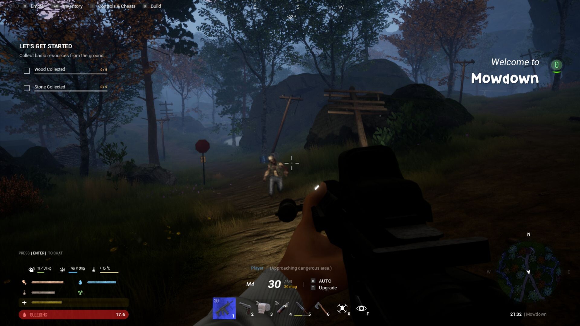 Lesion screenshot 4