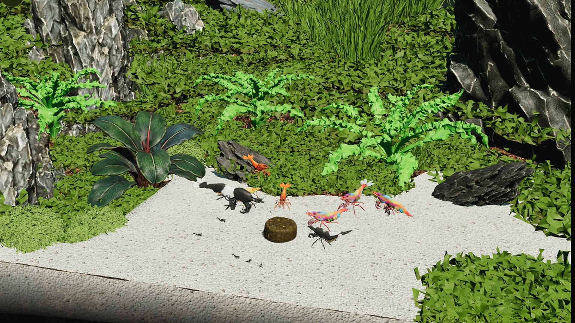 Shrimpscape screenshot 6