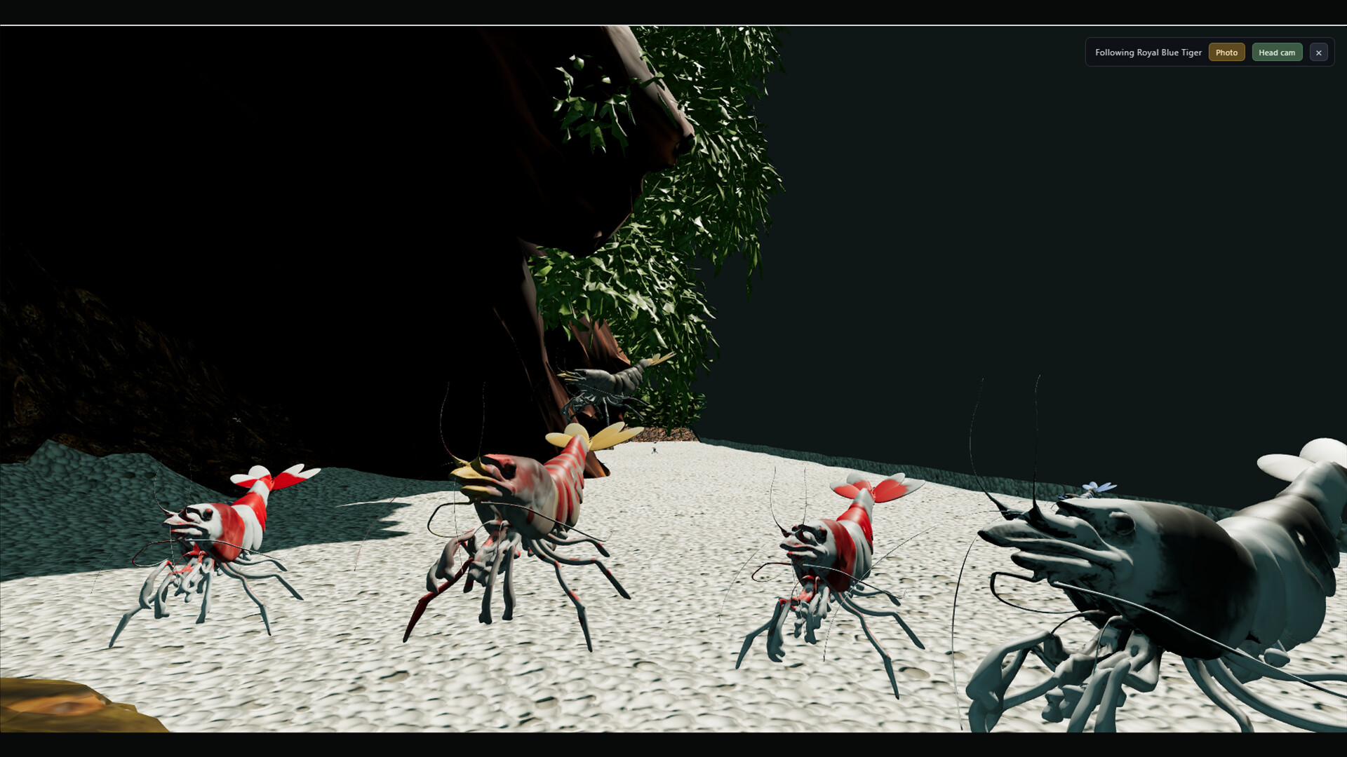 Shrimpscape screenshot 2