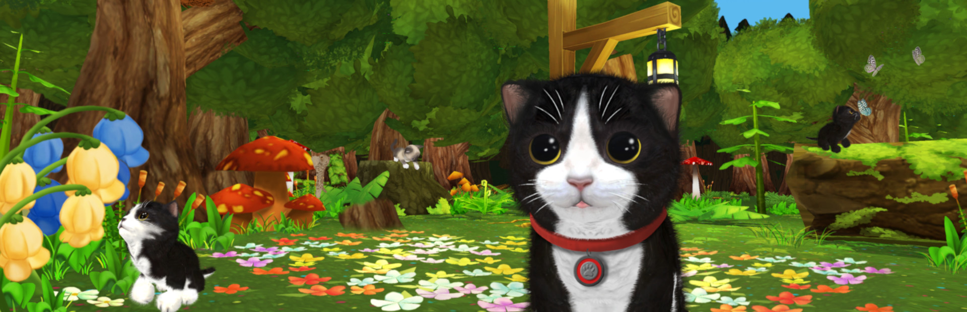 Konrad's Kittens