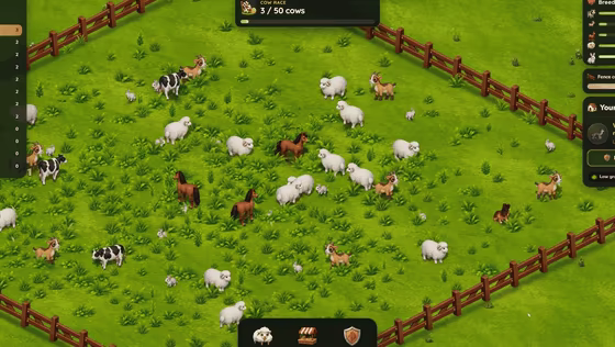 Herd League video 3