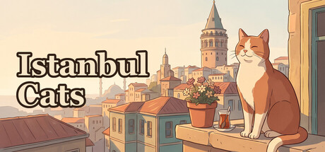 Istanbul Cats cover