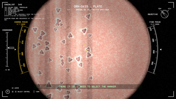Before I Turn: Survival Auto Battler screenshot 2