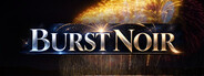 BURST NOIR - Fireworks Simulator