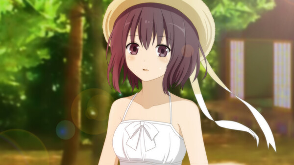 Misohagi Crossing Demo 스크린샷 2