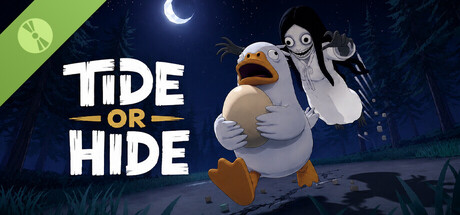 TIDE OR HIDE Demo header