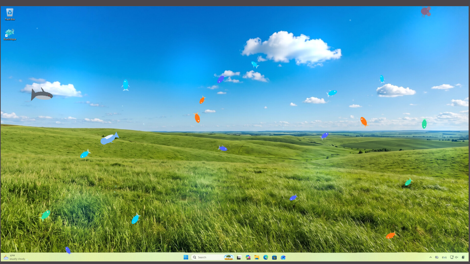 Burn-in Aqua screenshot 1