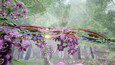 Screenshot #7