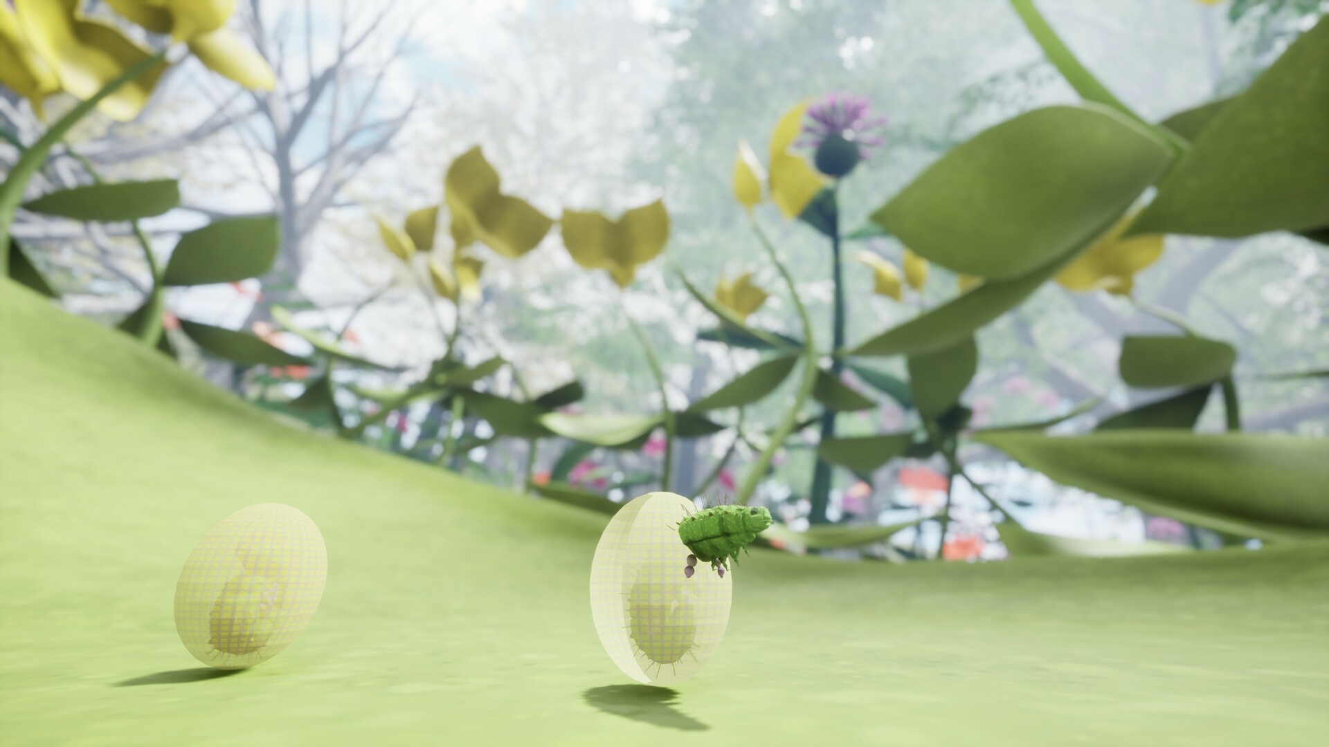 Nature & Life - Drunk On Nectar screenshot #9