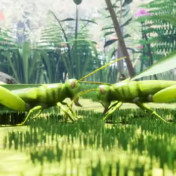 Nature & Life - Drunk On Nectar video 8