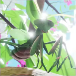Nature & Life - Drunk On Nectar video 3