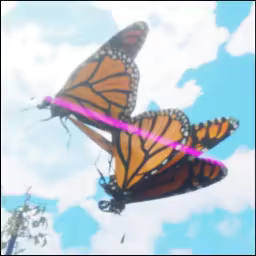 Nature & Life - Drunk On Nectar video 4